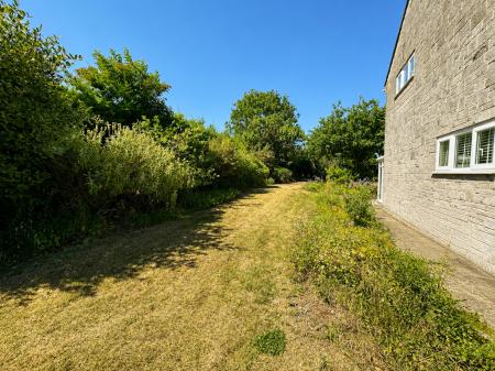 Side Garden