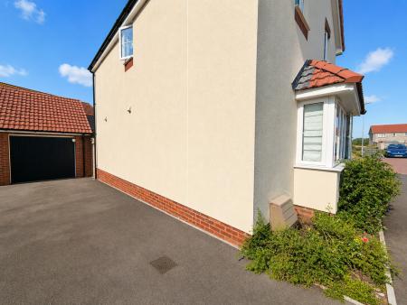 Driveway & Garage