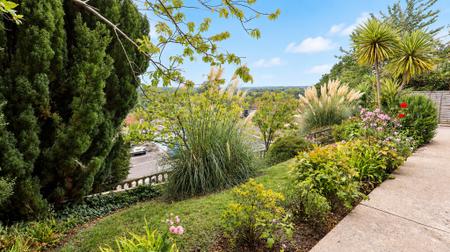 Front garden