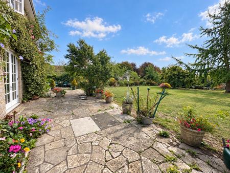 Rear Patio