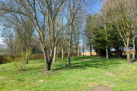 TEK HiRes 250702 005