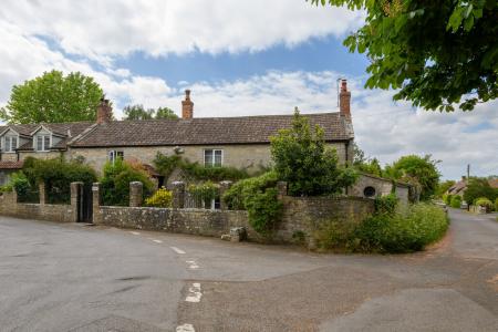 F4AD5541-8388-4C88-8