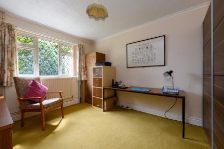 TEK HiRes 240806 045