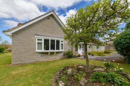 TEK HiRes 240806 046