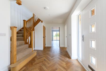 TEK HiRes 260819 061