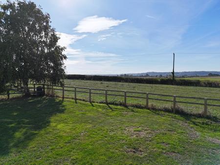 Garden & Views