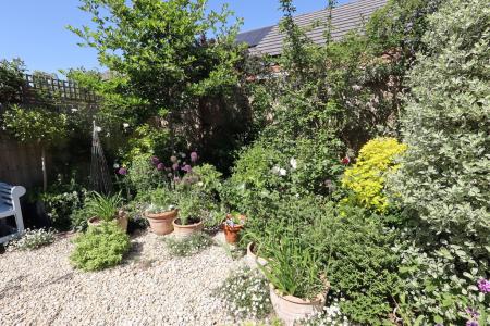 Immediate rear of th