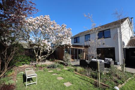 Rear elevation and g