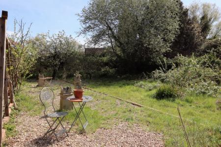 Lower area of garden