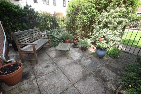 Rear patio and court