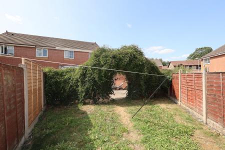 Rear lawn