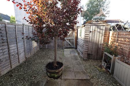 Rear garden