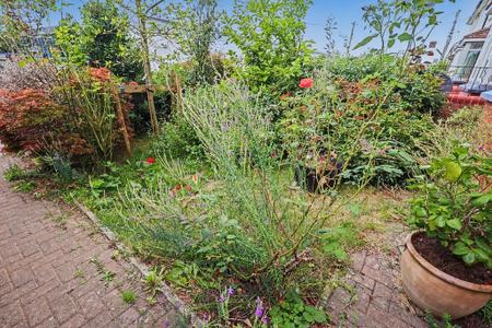 Front garden