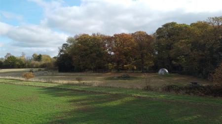 View of paddock area