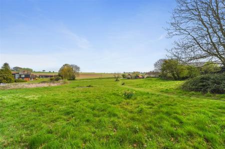 Alton Green
