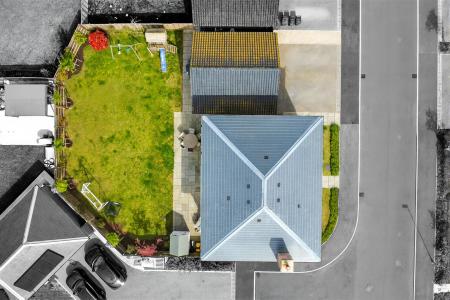 Birds Eye