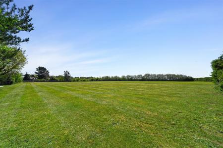 Paddock/Garden