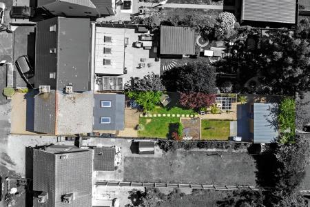 Birdseye