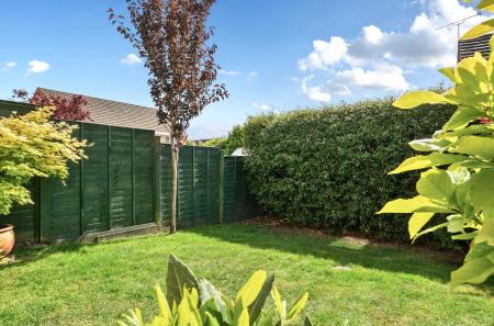 1297019-1-682c9b1335fb4-ARW.nef (1).jpg