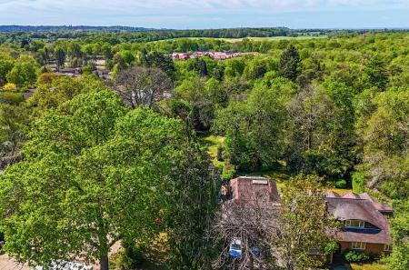 new drone Silverwood (8).jpg