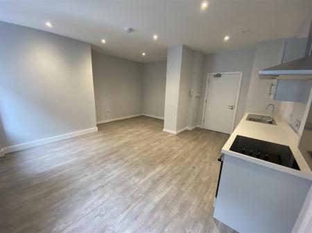 Lounge / Bedroom / Kitchen