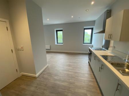 Lounge / Bedroom / Kitchen