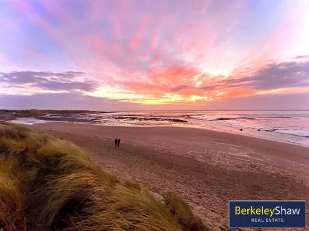 tlc_95e9c733-29c3-4091-82f1-30e384dc2a5d_e6531cb.j