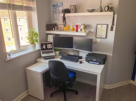 Study Area