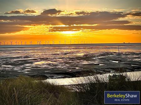 tlc_34ef1235-66f2-4476-95bd-17e696032532_19989e4.j