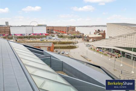 Mann Island Aerial view (3)