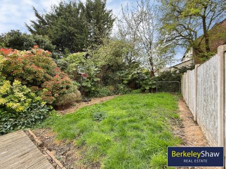 Back Garden