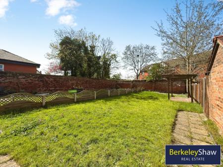 Back Garden