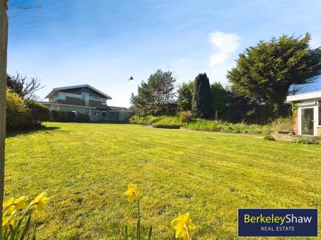 Rear garden (3)