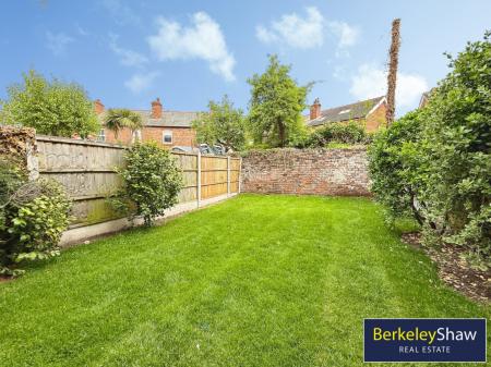 Back garden