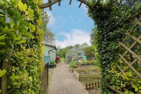 Shed/Greenhouse/Vegetable Garden Area