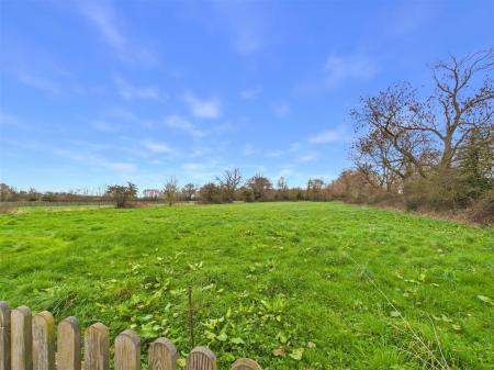 Grazing Paddock