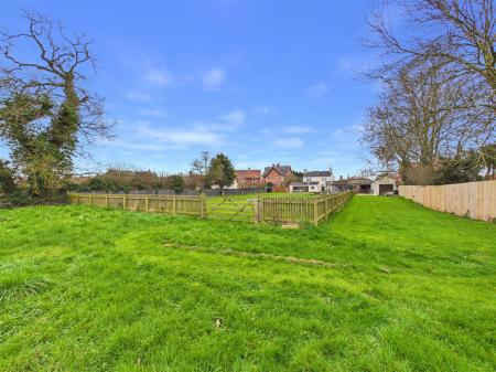 Grazing Paddock