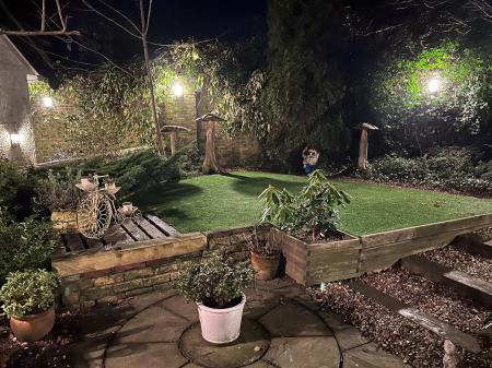 Night Shot