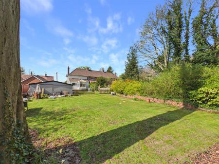 Rear View