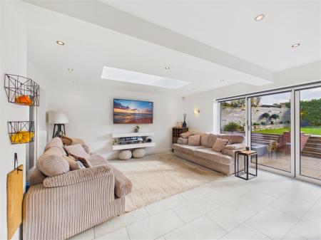 Living / Dining Area