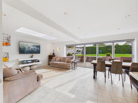 Living / Dining Area