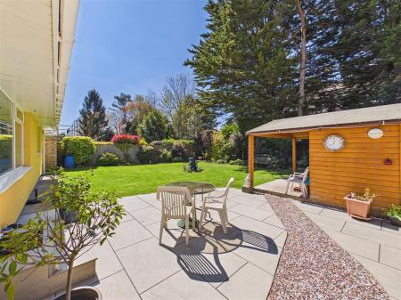 Patio Area