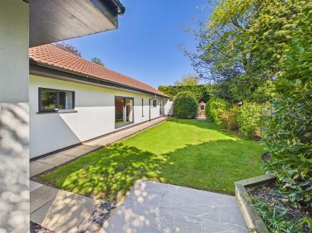 South Facing Garden