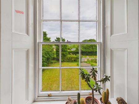 View from Bed 4