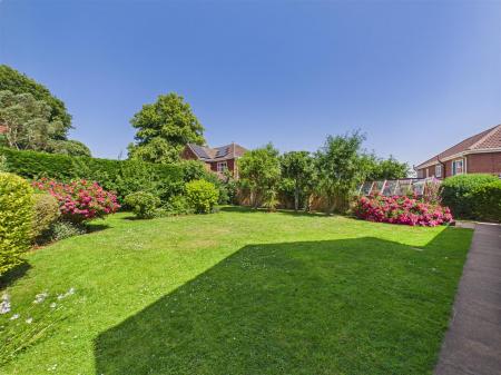 Side Garden