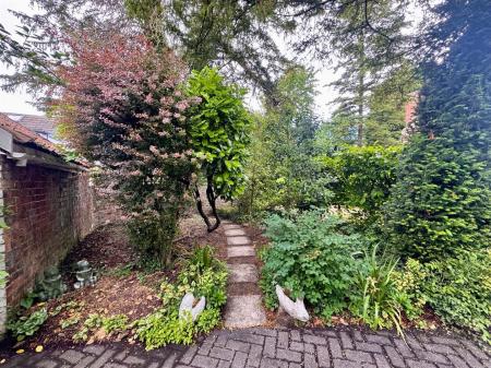Wood/Wildlife Garden