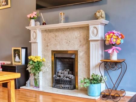 Living Room Fireplace