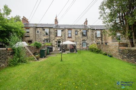 Back garden