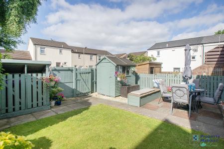 Back garden