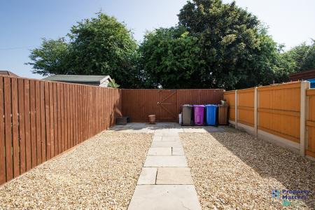 Back garden